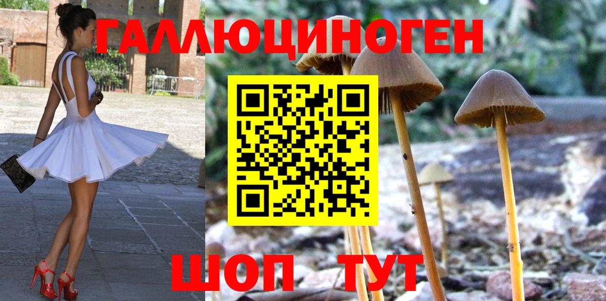 Якутск  Псилоцибиновые грибы MAGIC MUSHROOMS  Вход с VPN 